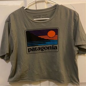Patagonia cropped graphic tee